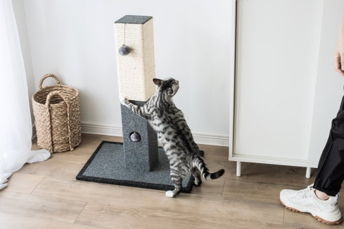 Catry, Natural Minimalist Cat Tree Cat Scratching Post with Natural Sisal Rope and Toys