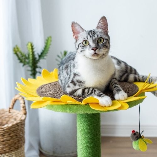 Catry Cat Sunflower Tree Bed - Sisal Covered 2 in 1 Climbing Activity Tower