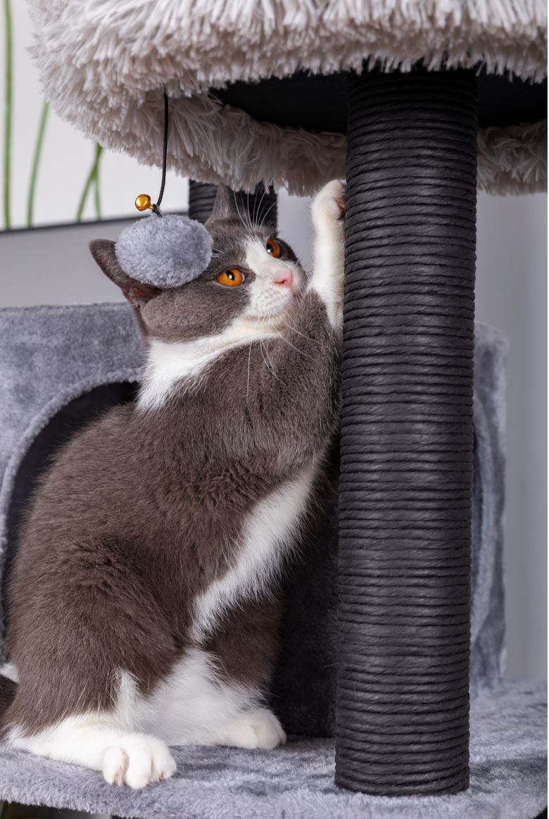 Catry Bradbury 7 Level Gray Cat Tree With Scratching Posts, Condo, Hammock and Two Shag Fur Cushions, Model-CT210353B