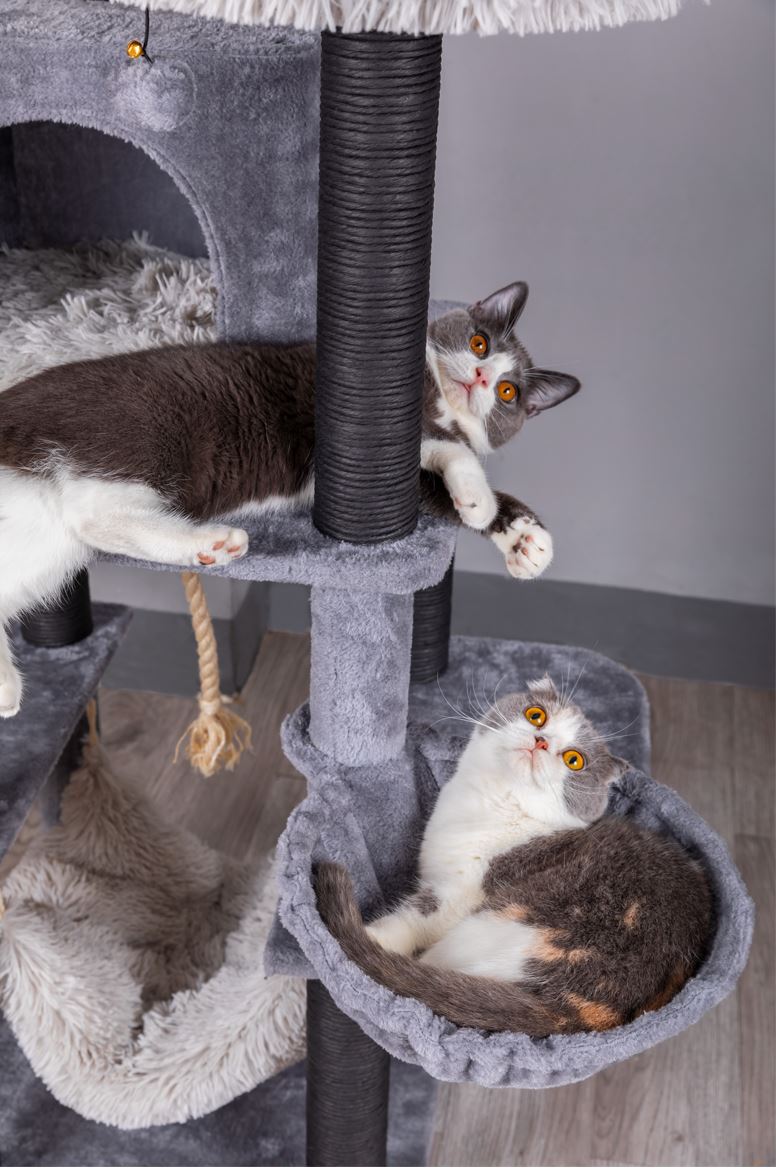 Catry Bradbury 7 Level Gray Cat Tree With Scratching Posts, Condo, Hammock and Two Shag Fur Cushions, Model-CT210353B