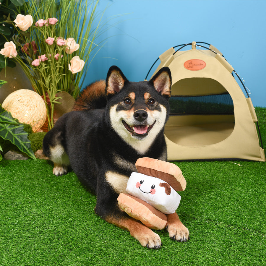 Camping Pups - S'more