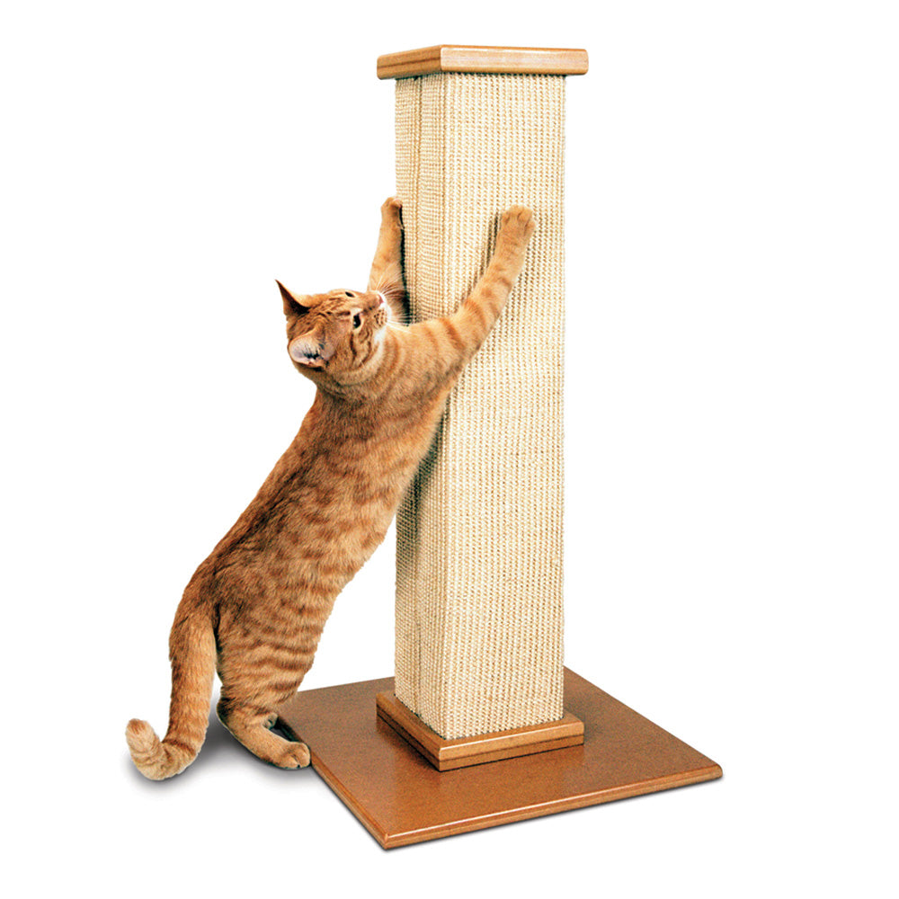 Ultimate Scratching Post