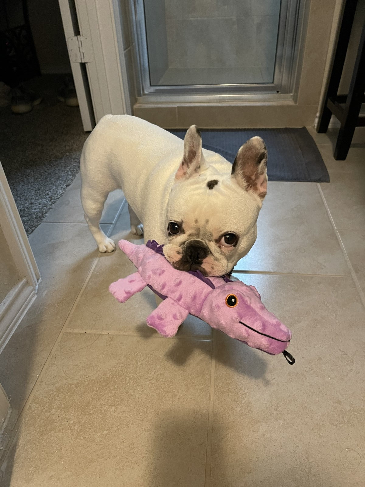 SnugArooz Ellie the Gator Plush Dog Toy 12"