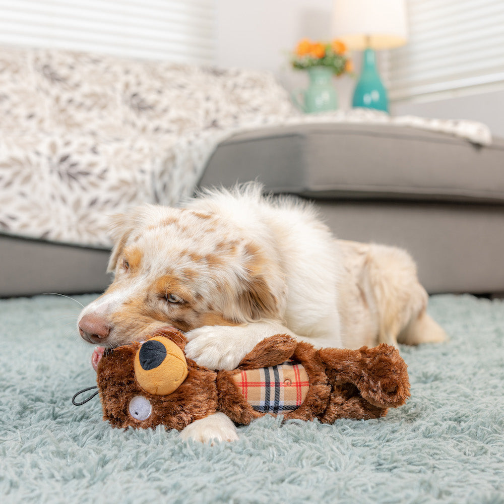 Slappies Beary Styles Dog Toy
