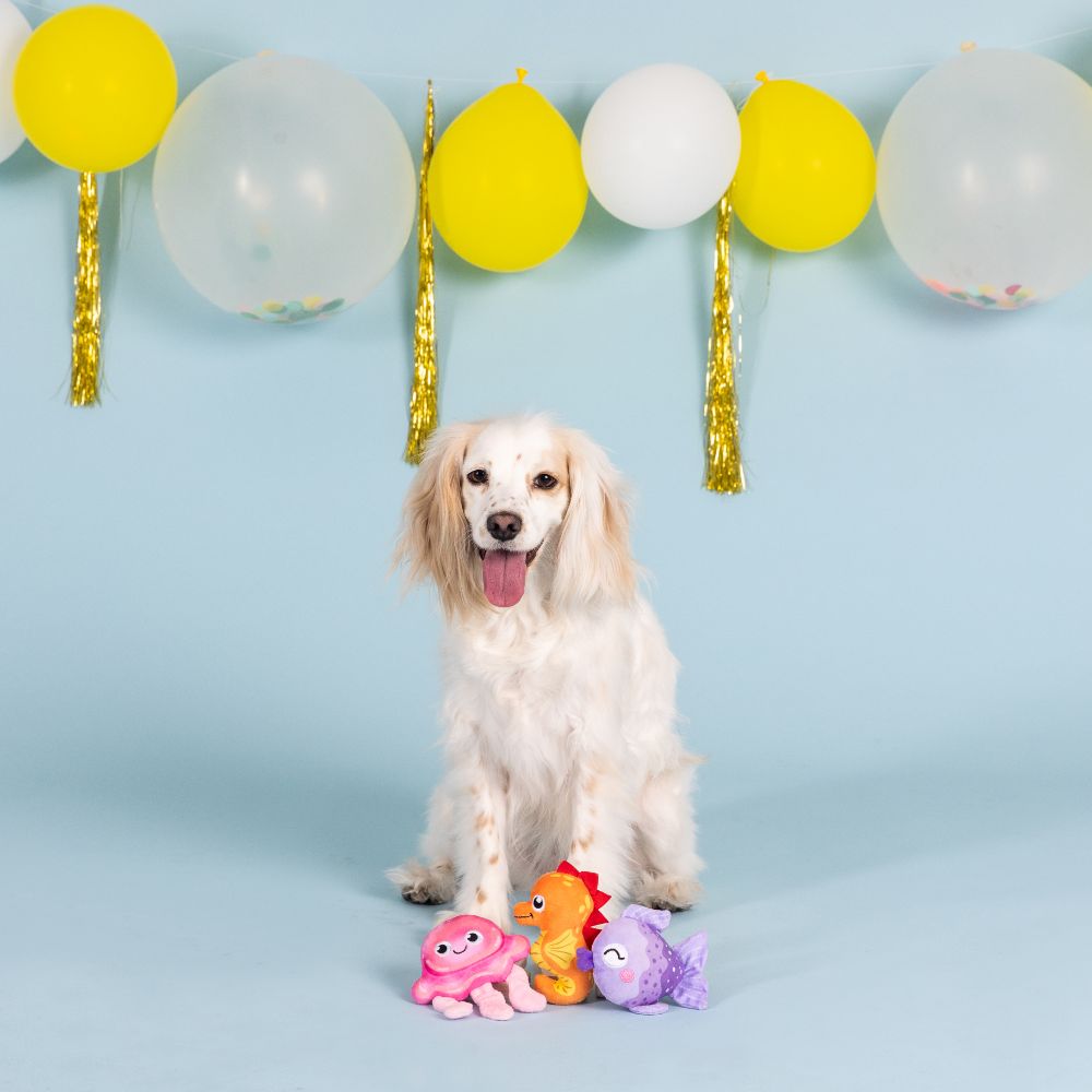 It's A Water-ful Life Small Plush Dog Toy Set of 3