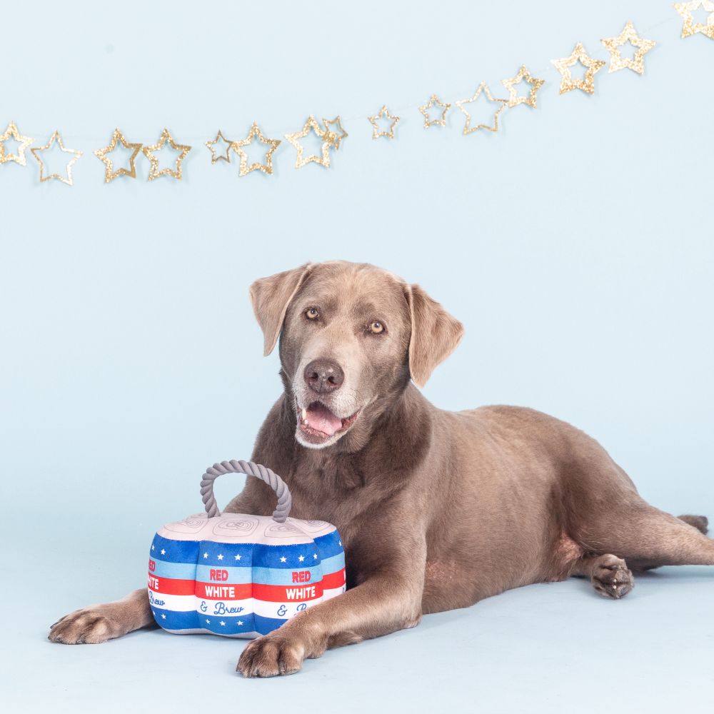 Star Spangled Beer Plush Dog Toy