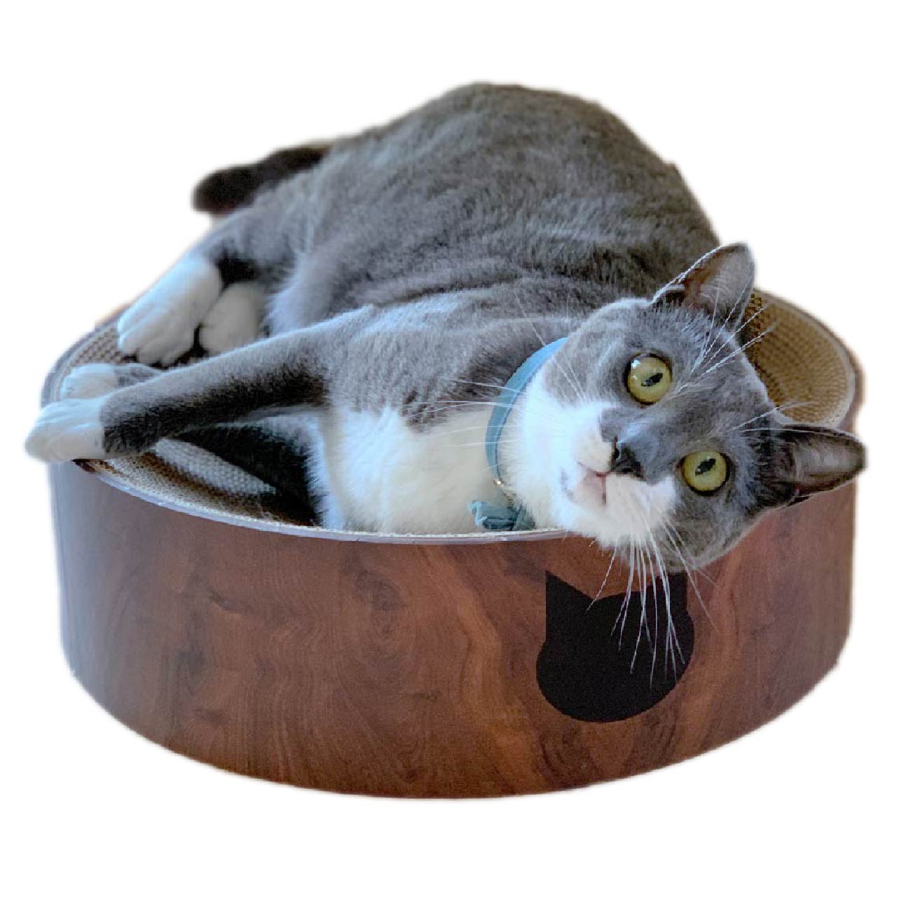 Cozy Cat Scratcher Bowl (Dark Cherry)