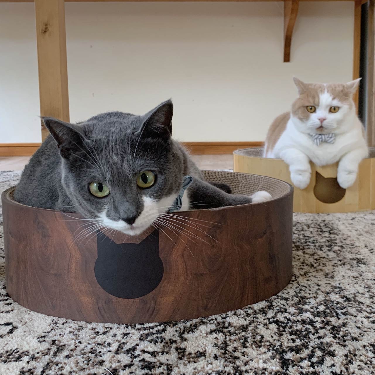 Cozy Cat Scratcher Bowl (Dark Cherry)
