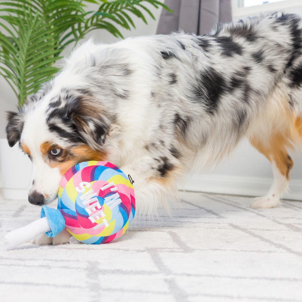 I'm Sweet Lollipop Dog Toy