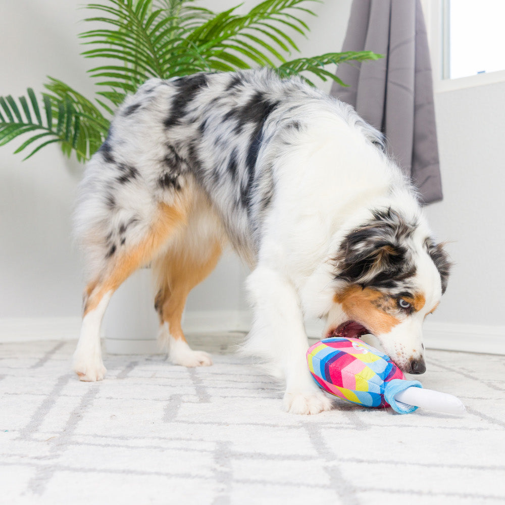 I'm Sweet Lollipop Dog Toy