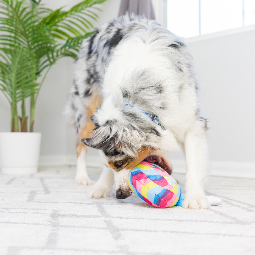 I'm Sweet Lollipop Dog Toy