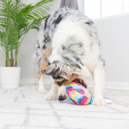 I'm Sweet Lollipop Dog Toy