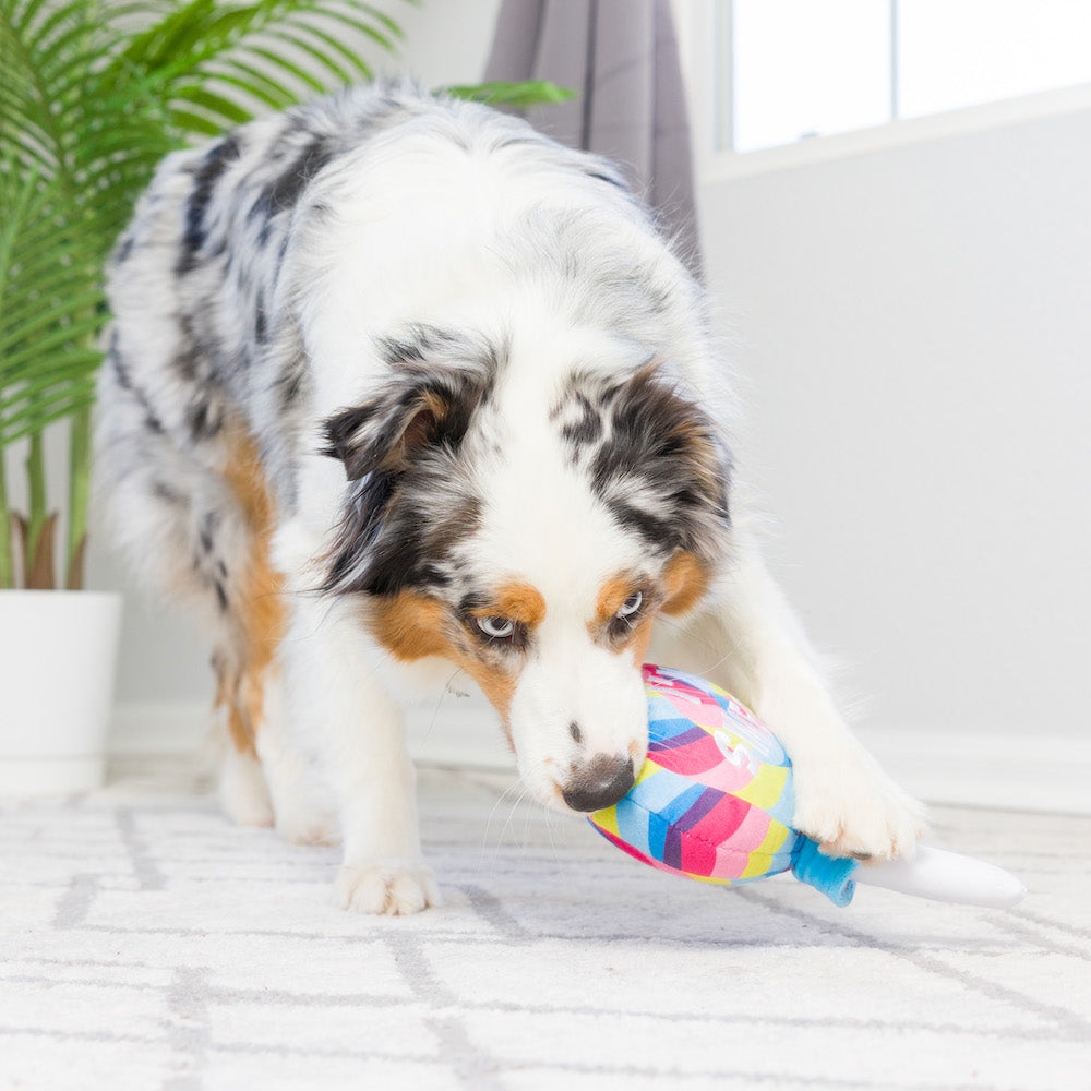 I'm Sweet Lollipop Dog Toy