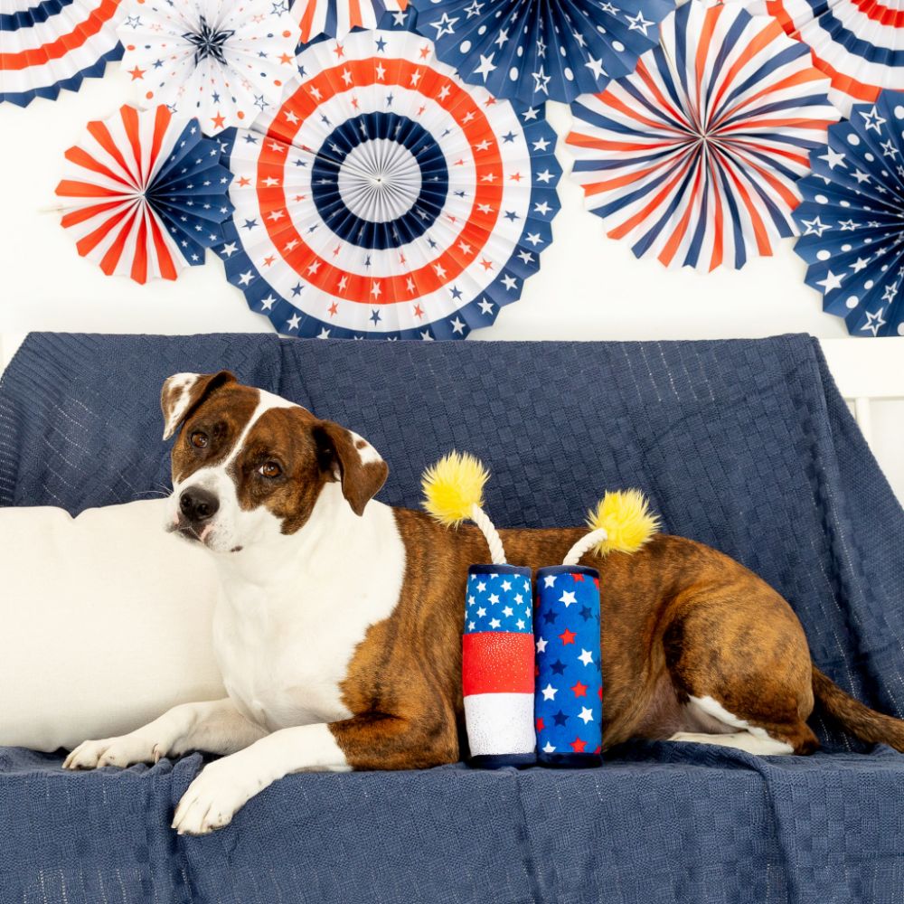 Sparkle On Plush Dog Toys Set Of 2
