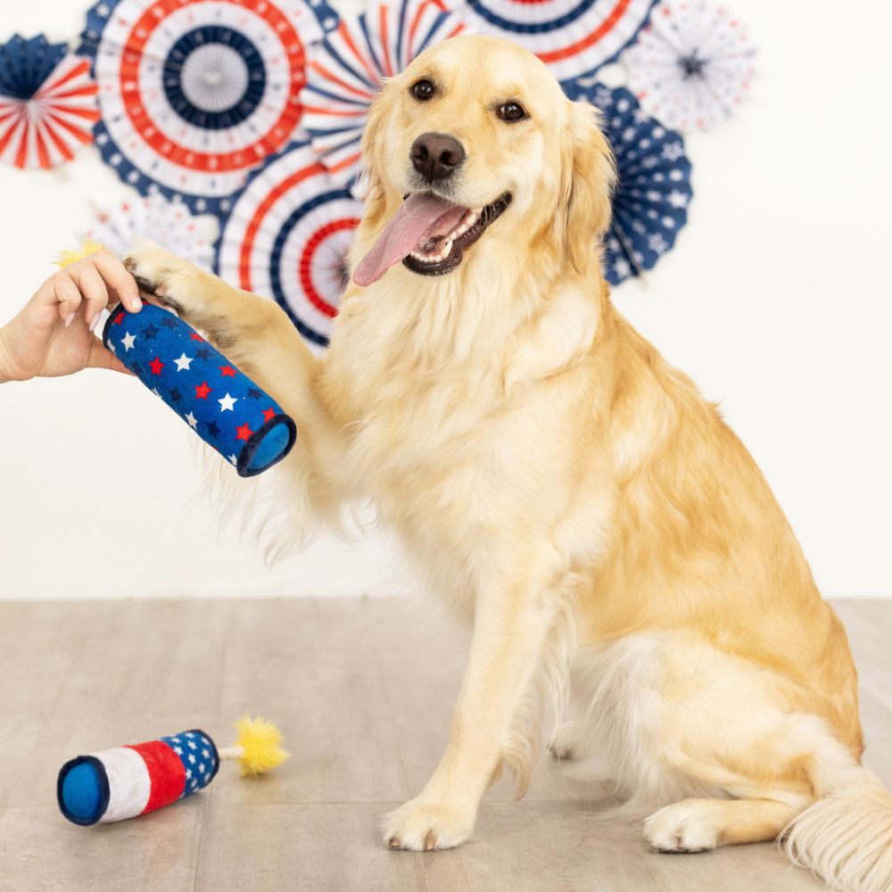 Sparkle On Plush Dog Toys Set Of 2