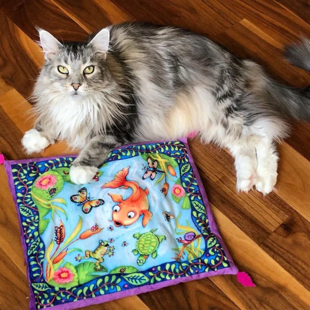 Multipet Fuzzu Sweet Spot Kitty Carpet- Lily Pond