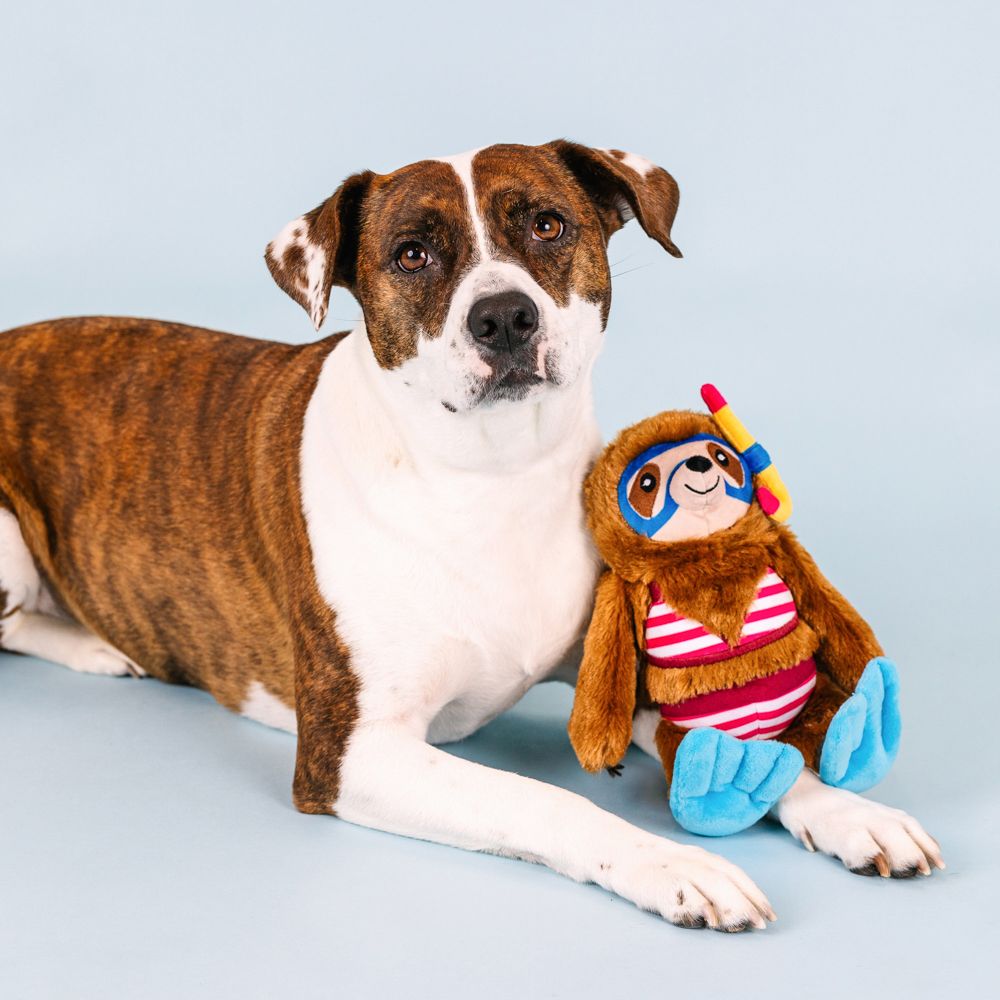 Swimin' With The Fishes Plush Dog Toy
