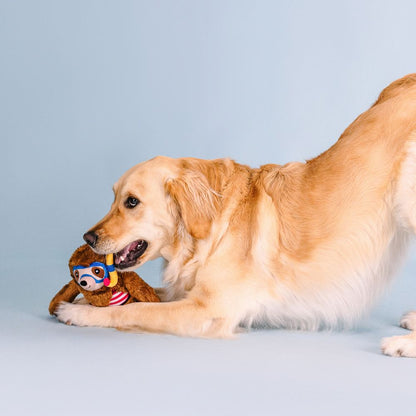 Swimin' With The Fishes Plush Dog Toy