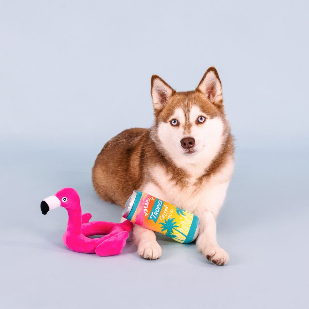 Pool Days, Sun Rays Plush Dog Toys Set of 2