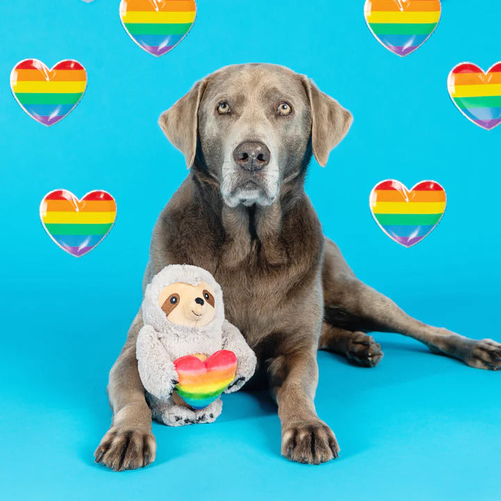 PetShop by Fringe Studio Follow Your Rainbow Plush Dog Toy