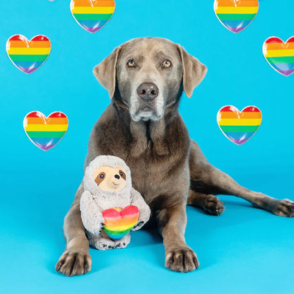 PetShop by Fringe Studio Follow Your Rainbow Plush Dog Toy