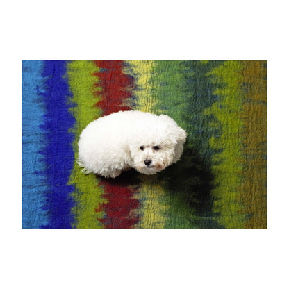 Wool Pet Mat, Multi-Ombre, Bright