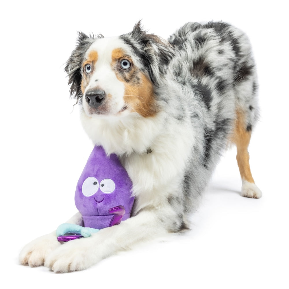 Slappies Squiggly Squid Dog Toy