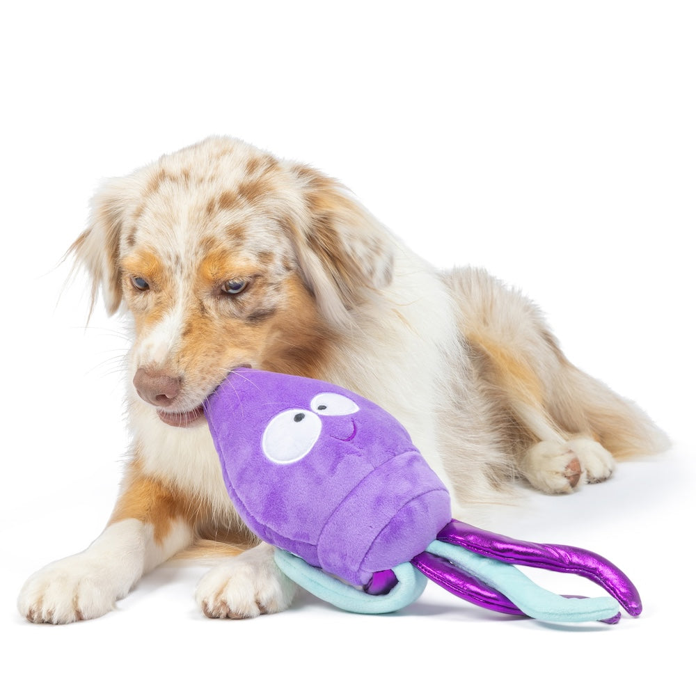 Slappies Squiggly Squid Dog Toy