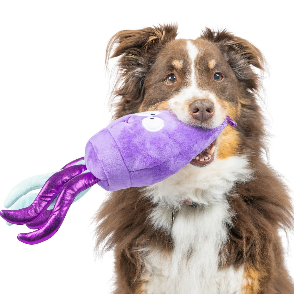 Slappies Squiggly Squid Dog Toy