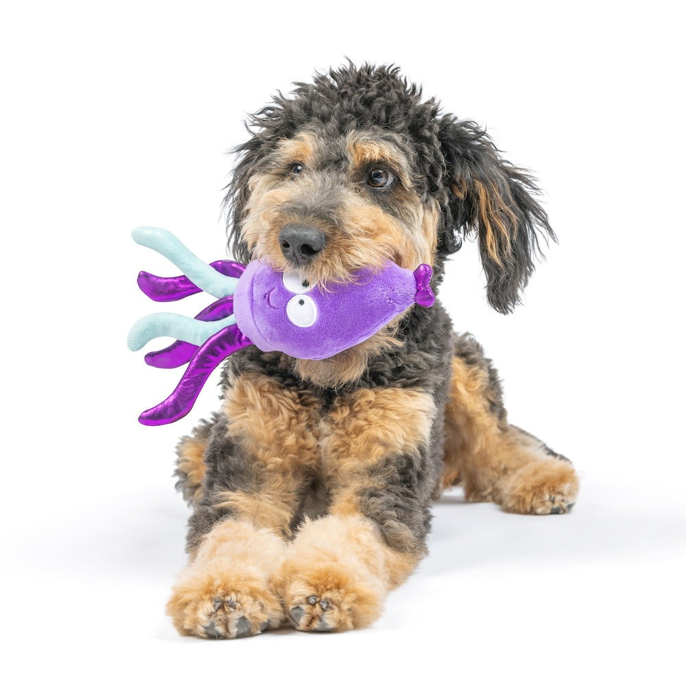 Slappies Squiggly Squid Dog Toy