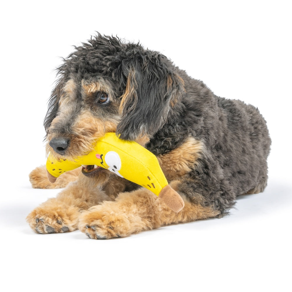 Fetchies Bruiser Banana Dog Toy