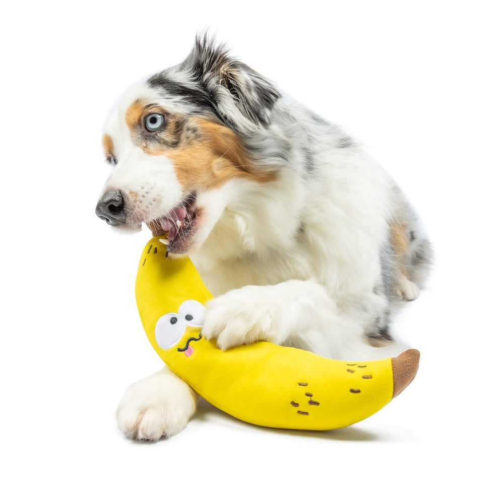 Fetchies Bruiser Banana Dog Toy