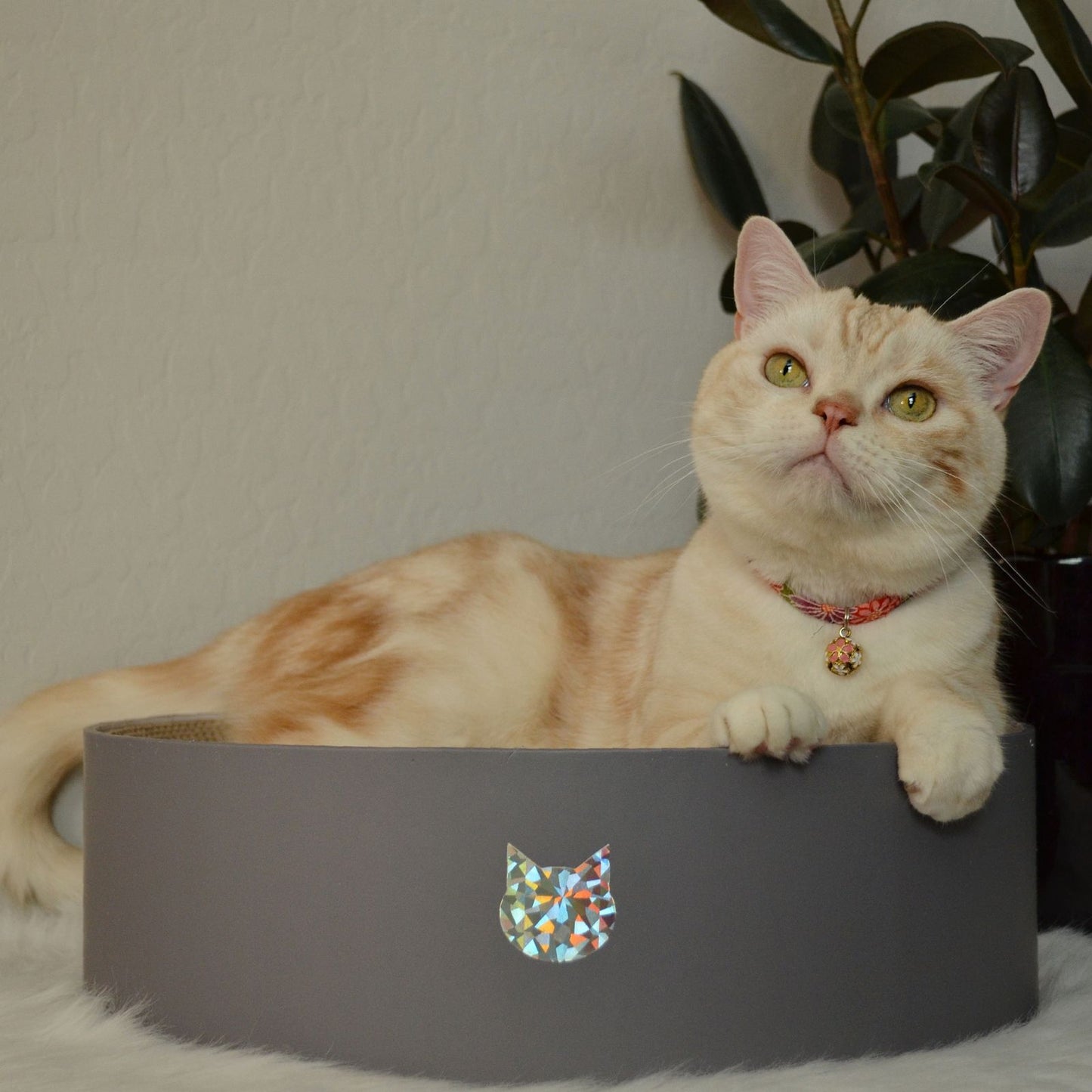 Cozy Cat Scratcher Bowl (Hologram Gray)
