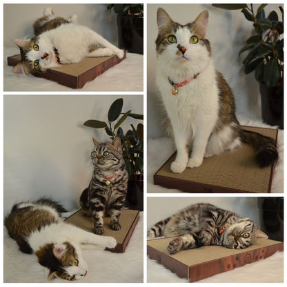 Premium High-density Cat Scratcher Wide (Dark Cherry)
