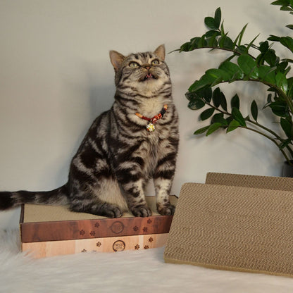 Premium High-density Cat Scratcher Replacement Pad (2 Pack)