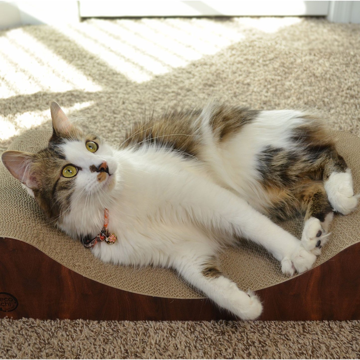 Premium Comfort Curved Cat Lounger Large (Dark Cherry)