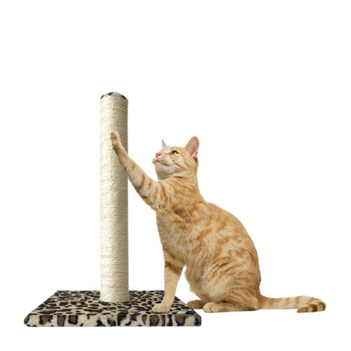 Cloe e Cluzo Scratching Post