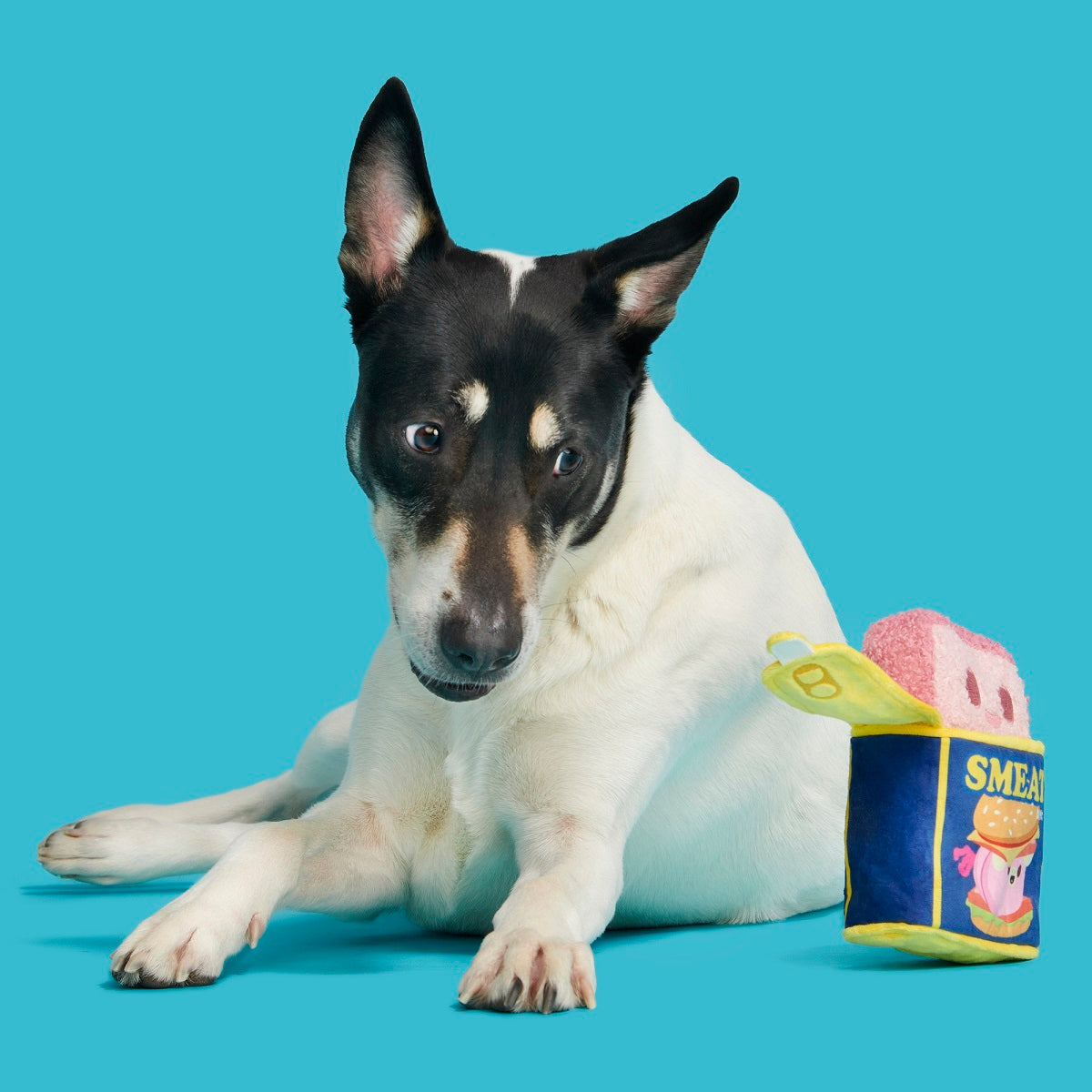 BARK Canned SMEAT Plush Dog Toy XS/S