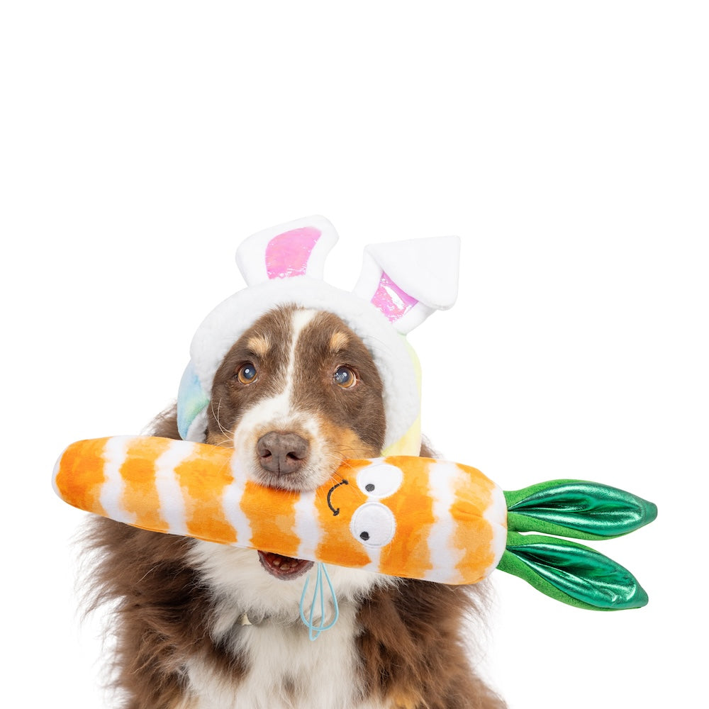 Fetchies Sweet Carrot Dog Toy