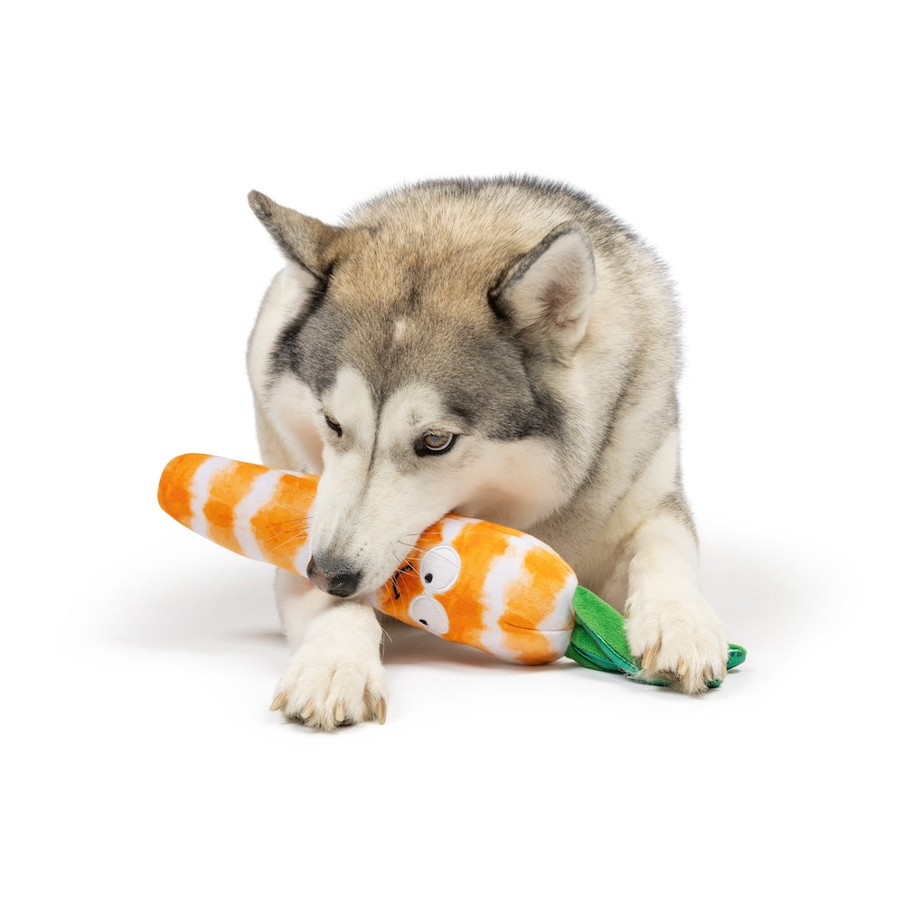 Fetchies Sweet Carrot Dog Toy