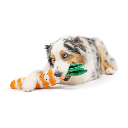 Fetchies Sweet Carrot Dog Toy