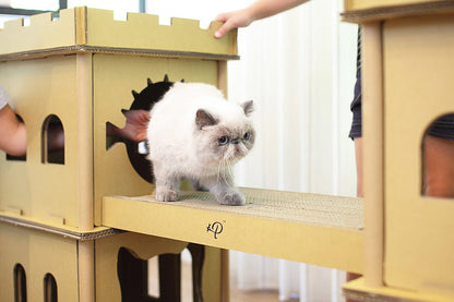 London Bridge Cat House