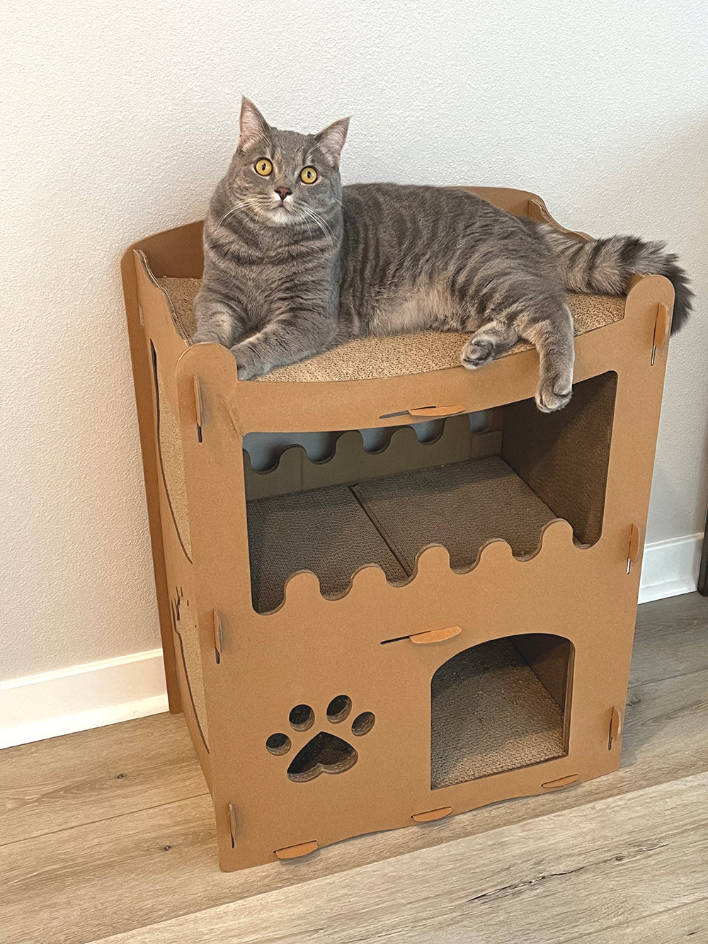 Feline Penthouse Cat House