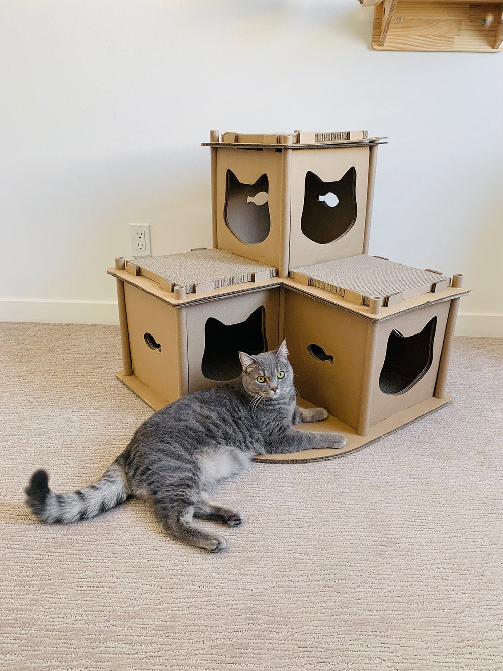 Feline Fortress Cat House