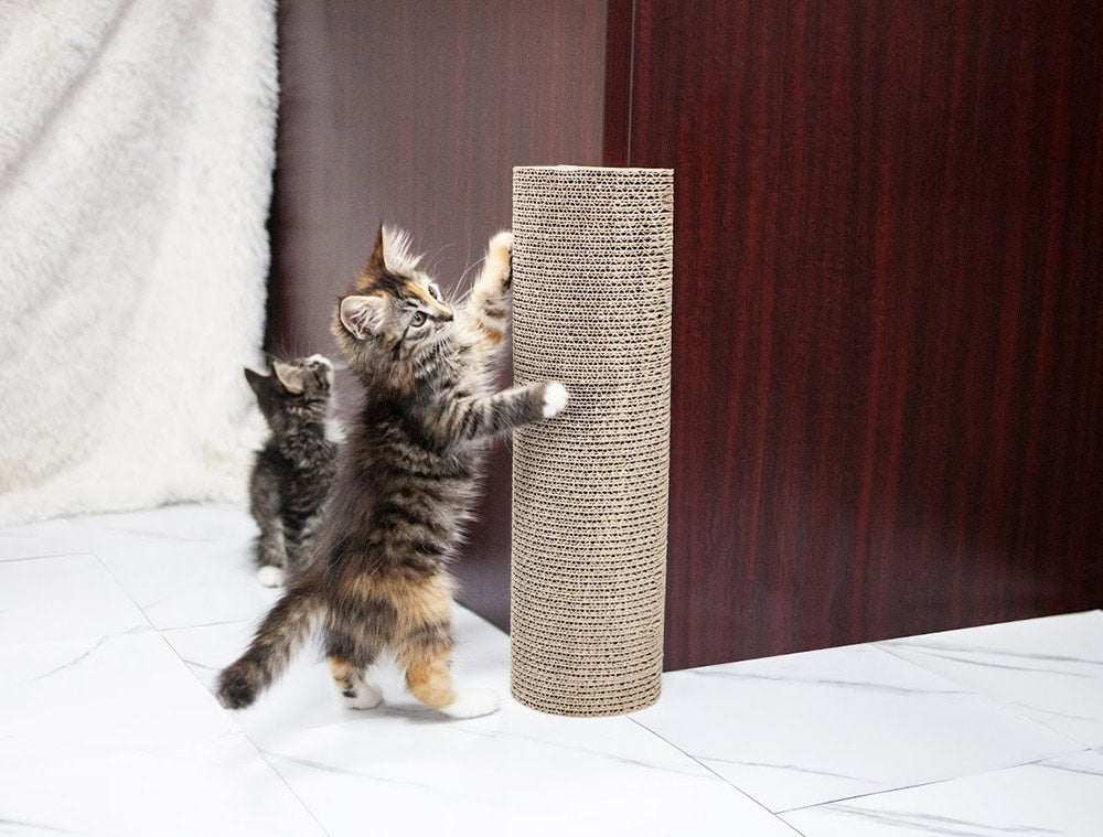 Kitty Corner Cat Scratching Post  (Set of 2)