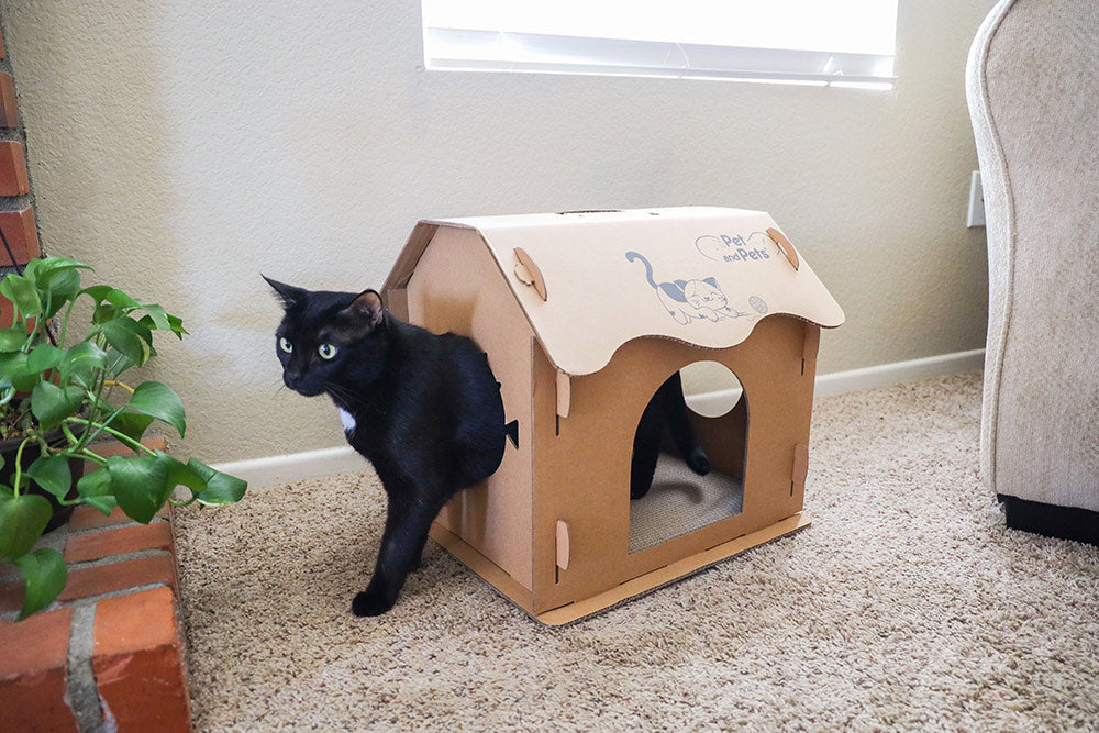 Scratch Pad Cat House