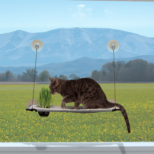 EZ Mount Window Lounger with Cat Grass Grow Station by K&H