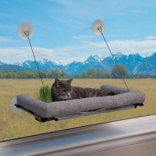 EZ Mount Deluxe Bolstered Window Kitty Sill with Cat Grass Grow Station by K&H