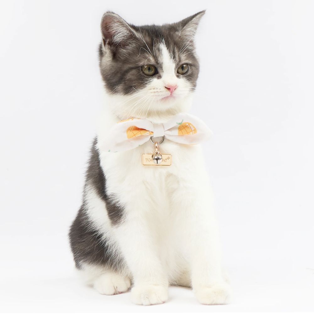 Touchcat  Pineapple Patterned Designer Cat Collar - Yellow