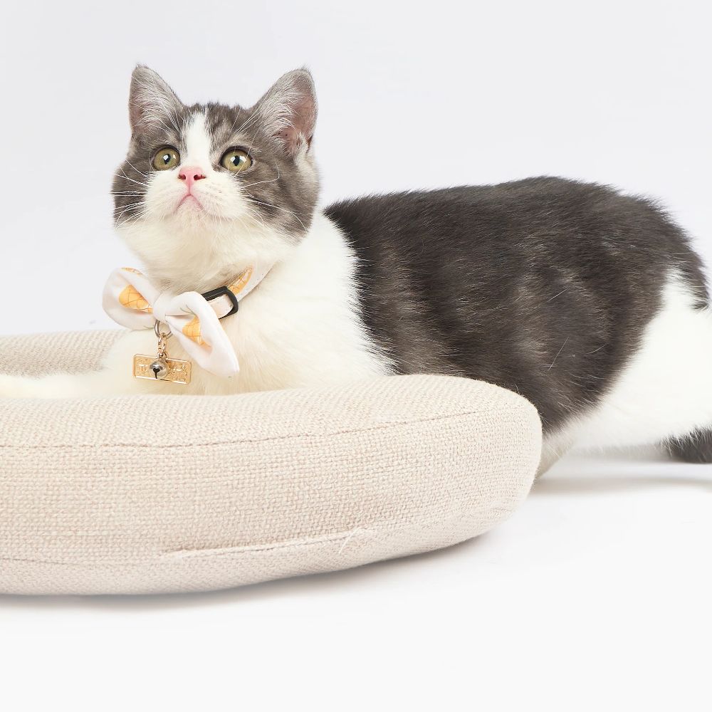 Touchcat  Pineapple Patterned Designer Cat Collar - Yellow